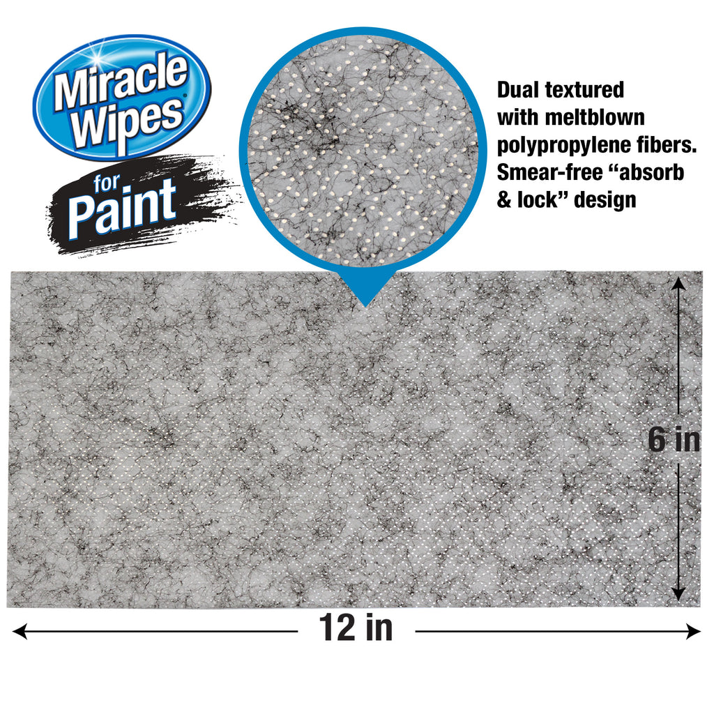 MiracleWipes for Paint